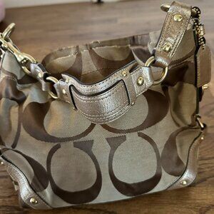 Coach Carly Satchel Bag